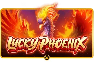 Blackjack Dragon Tiger ကတ်ဂိမ်း